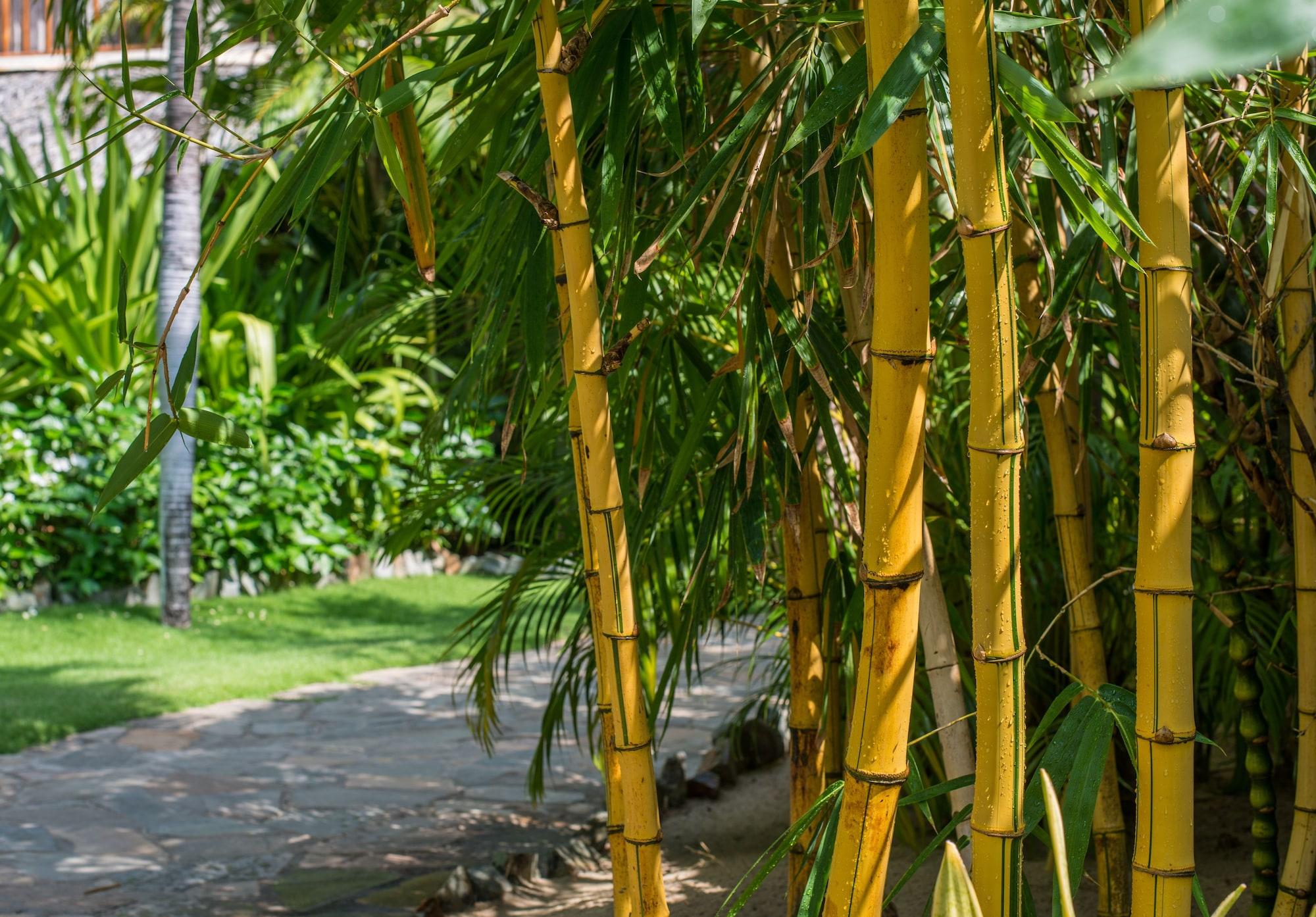 Sailing Club Resort Mui Ne Phan Thiết Extérieur photo